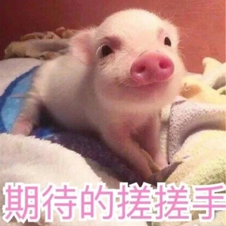 腾博诚信官网·(中国)会专业效劳